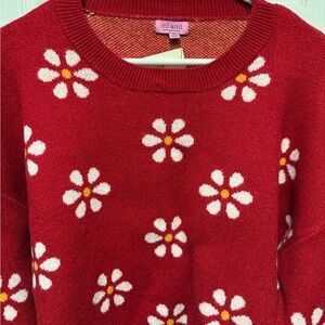 Mi Ami by Francesca’s Red Daisy Cropped Sweater